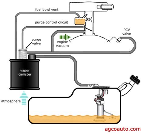 Fuel Evaporative Canister Replacement Cost。